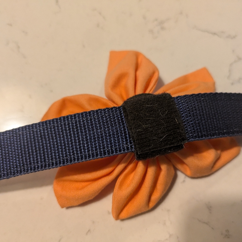 Flower Dog collar - Picture 12 of 16